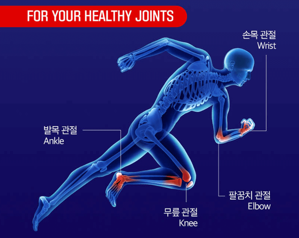부모님 선물 추천 관절 건강기능식품 콘드로이친 골드