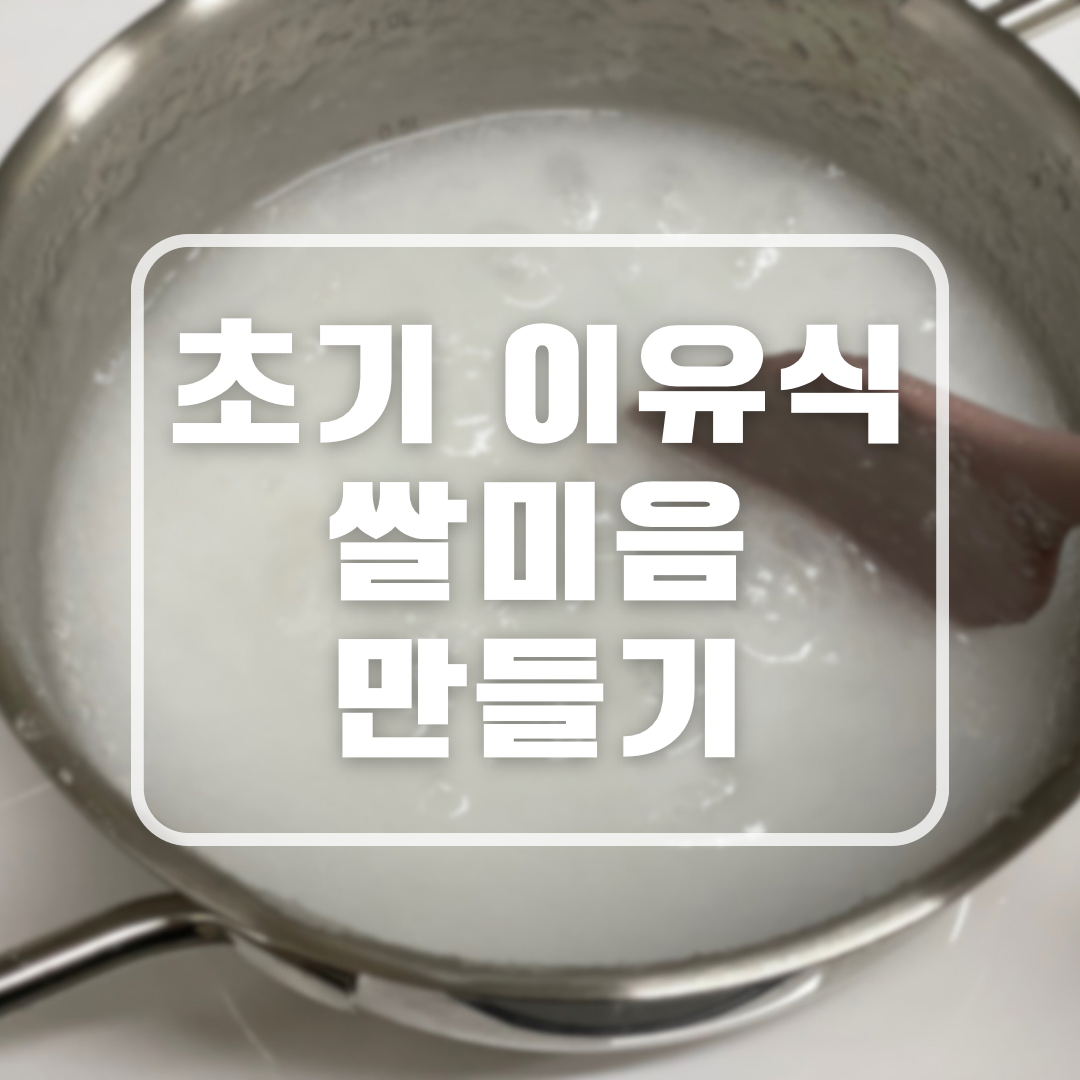 초기 이유식 쌀미음