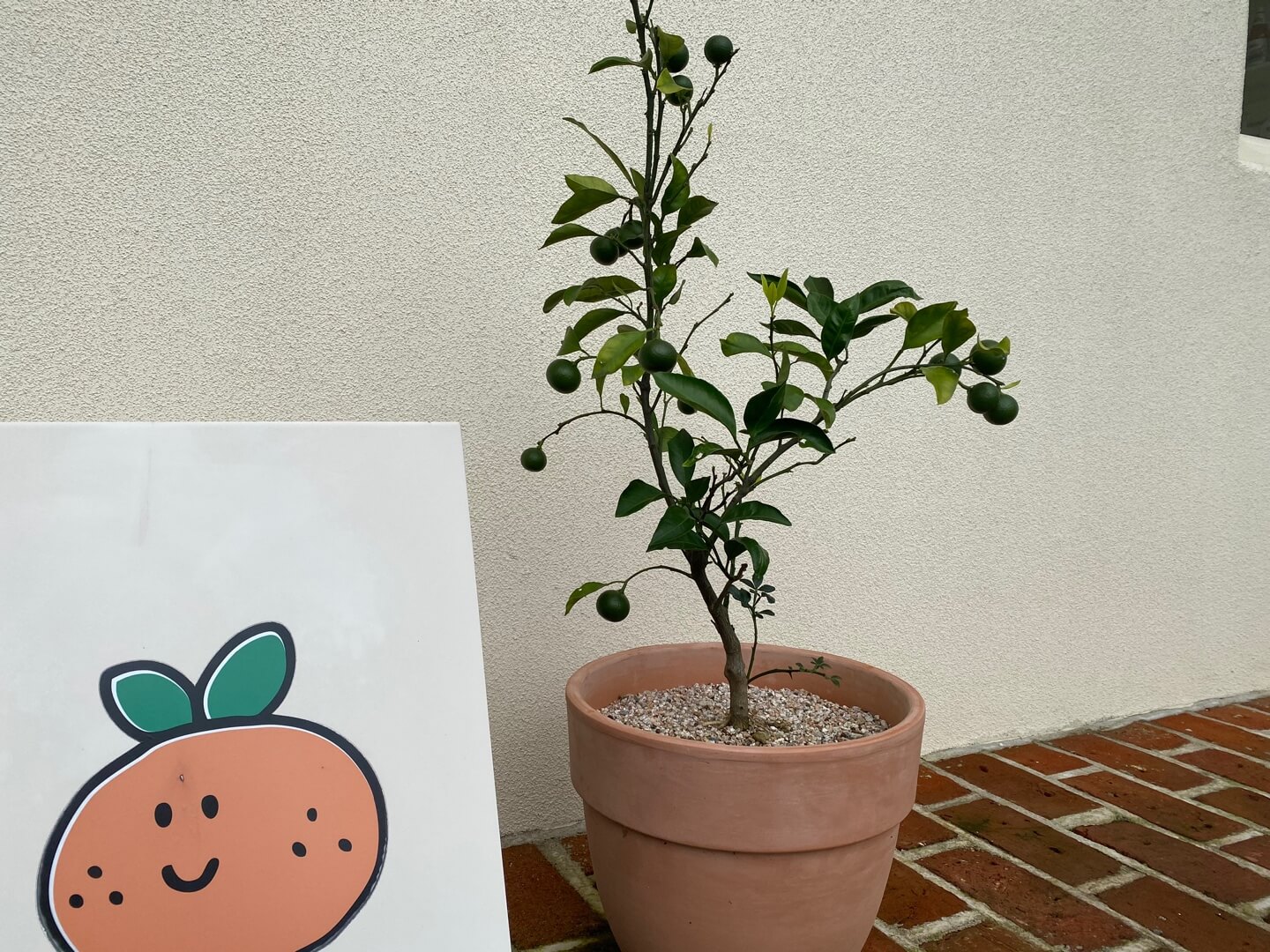 무무제주-입간판