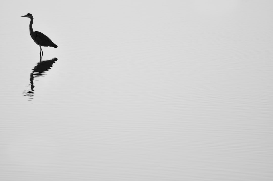 Rebate — 핵심 혜택인 환급(payback)을 직관적으로 전달하고, 마케팅 커뮤니케이션에서 널리 이해되는 가장 적합한 영어 명사입니다. 브랜드 포지셔닝도 쉽고, 다양한 채널에서 활용이 간편합니다.