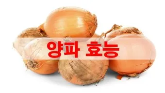 nv_양파 효능_19