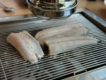 민물장어 가격 효능 민물장어 바다장어 차이 종류_12