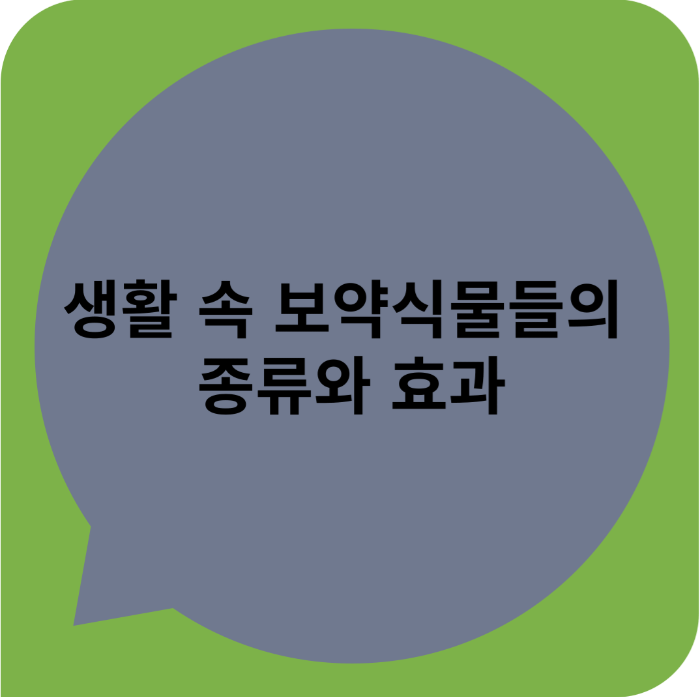 생활 속 보약식물들의 종류와 효과