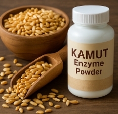 카무트 효소 효능
