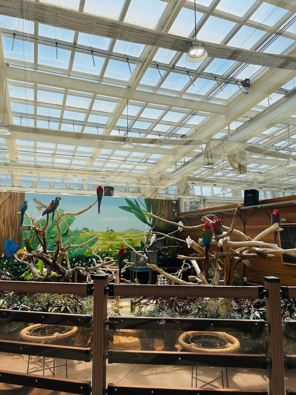 대전-오월드-버드랜드