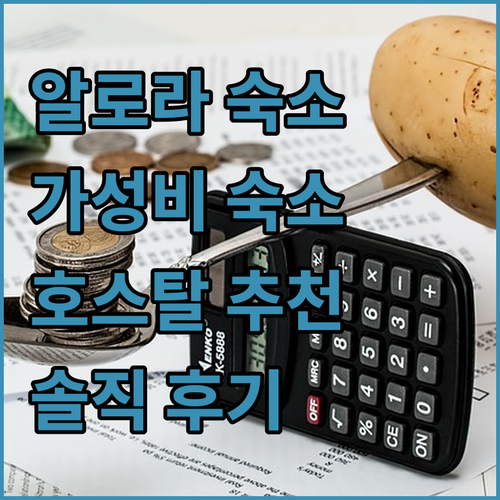 알로라 여행객 필독 호스탈 돈 호아킨..