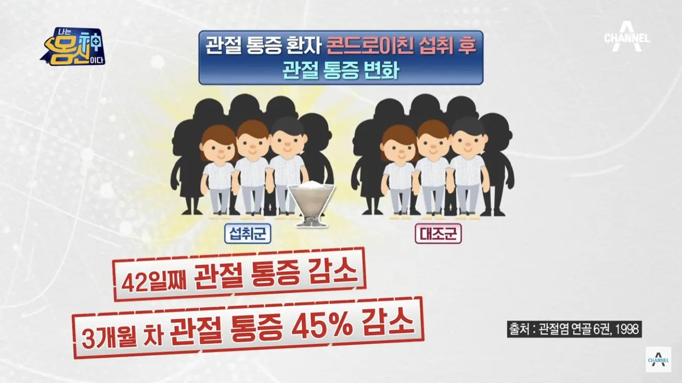 콘드로이친 실험했더니 45% 사람이 통증 감소했다고 함 - 나는 몸신이다 채널A 방송캡쳐