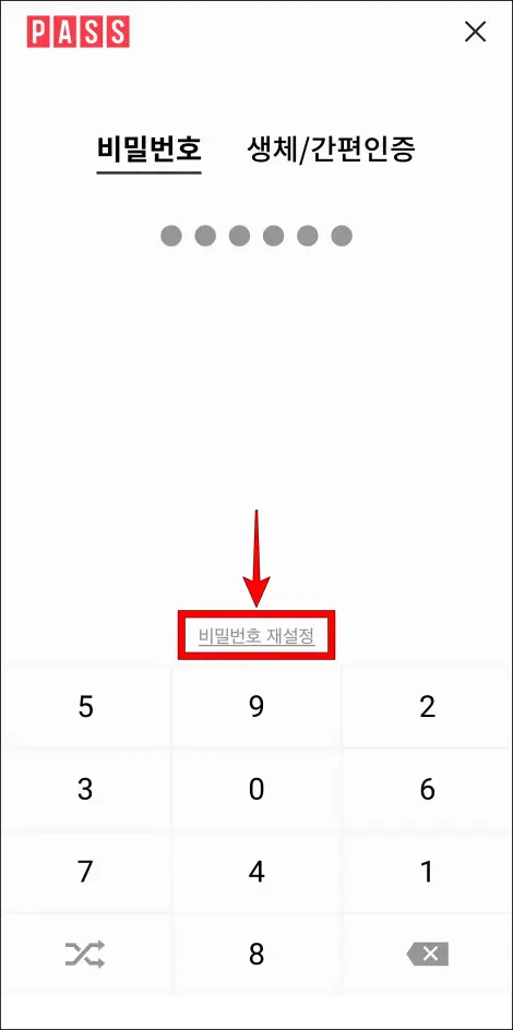 PASS의 비밀번호 입력 화면에서 [비밀번호 재설정]을 선택