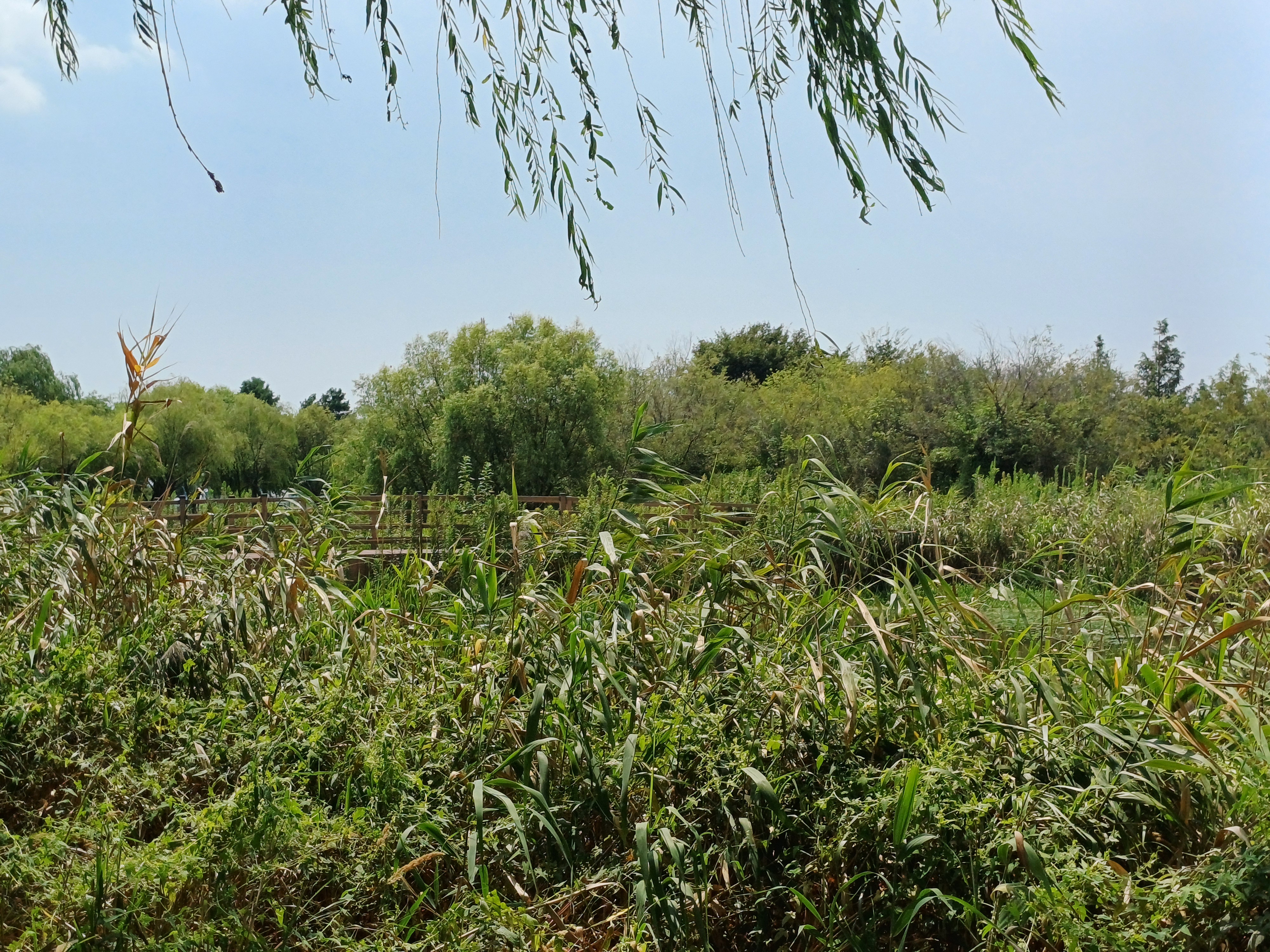 Beautiful Nature 1