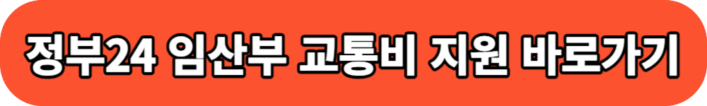 정부24 임산부 교통비 지원 신청 버튼