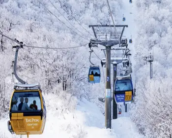 발왕산 케이블카_7