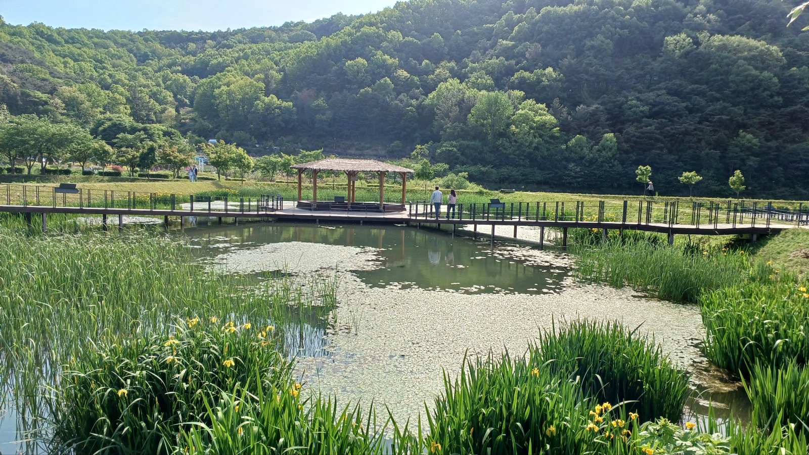 옥연지 송해공원42