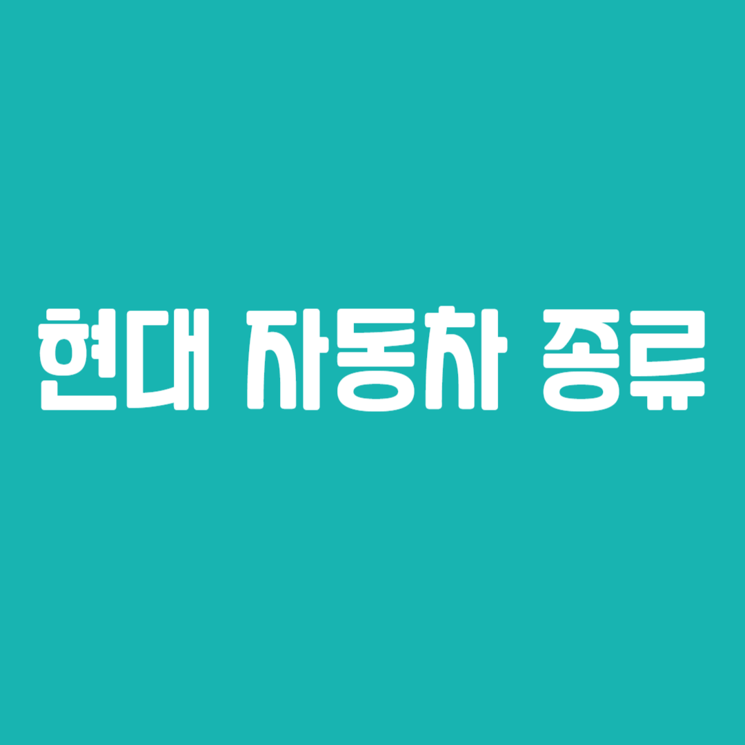 현대 자동차 종류