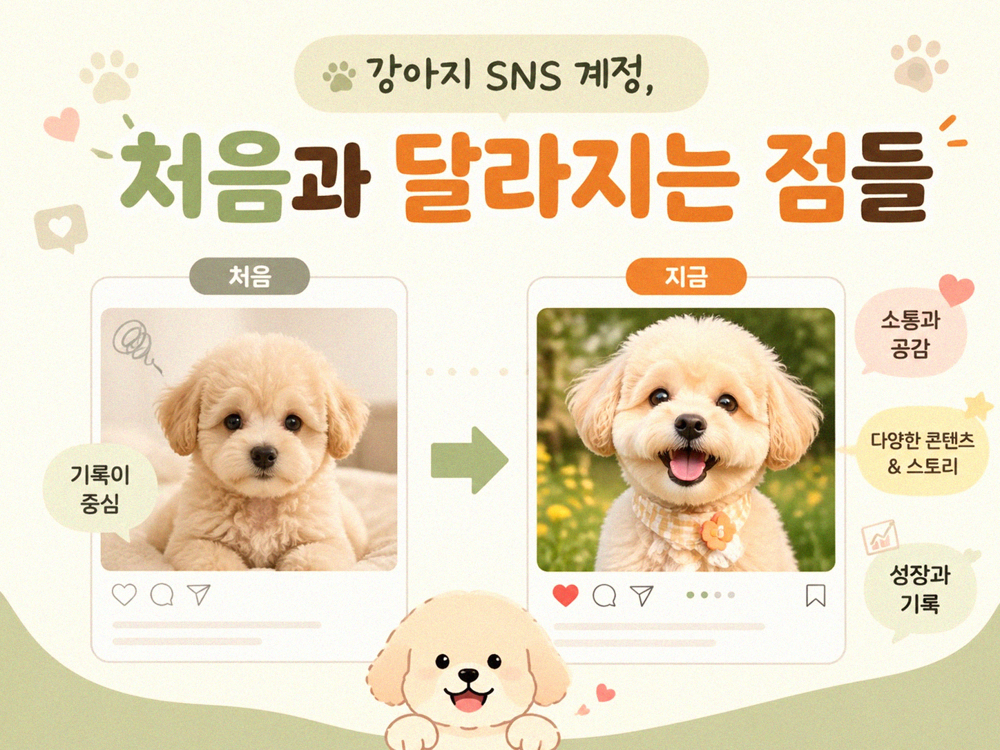 강아지 SNS, 뭘 기대해야 할까? 운영하며 달라지는 것들