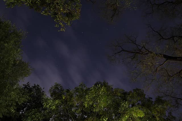 Cosmic Web의 형성과 필라멘트 구조의 동역학