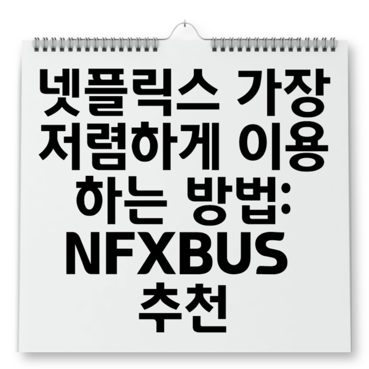 넷플릭스를 가장 저렴하게 이용하는 방법 NFXBUS 사용 후기