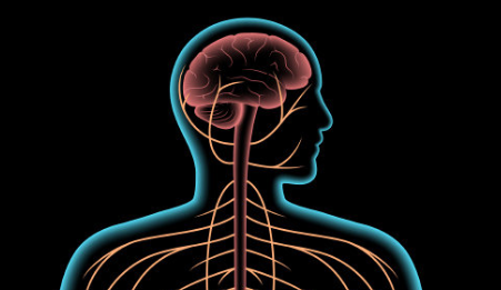 자율신경실조증 1