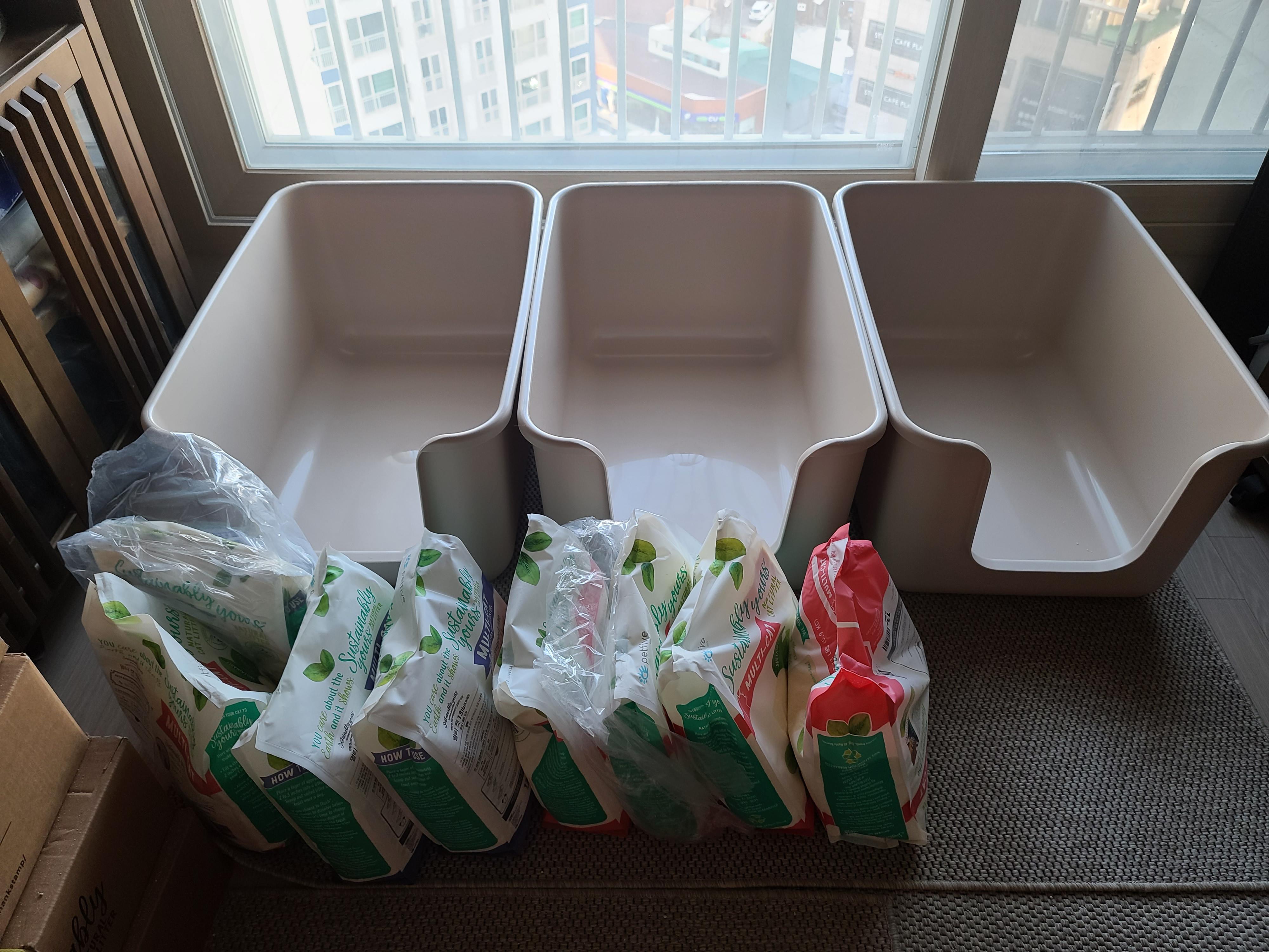 막둥이 삐용이의 방광염 스토리. 내가 생각하는 막둥이 방광염의 원인. 고양이 방광염.