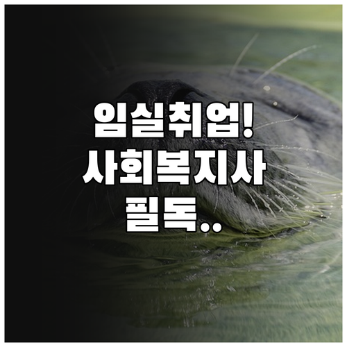 임실군 시니어클럽 사회복지사 취업 정..
