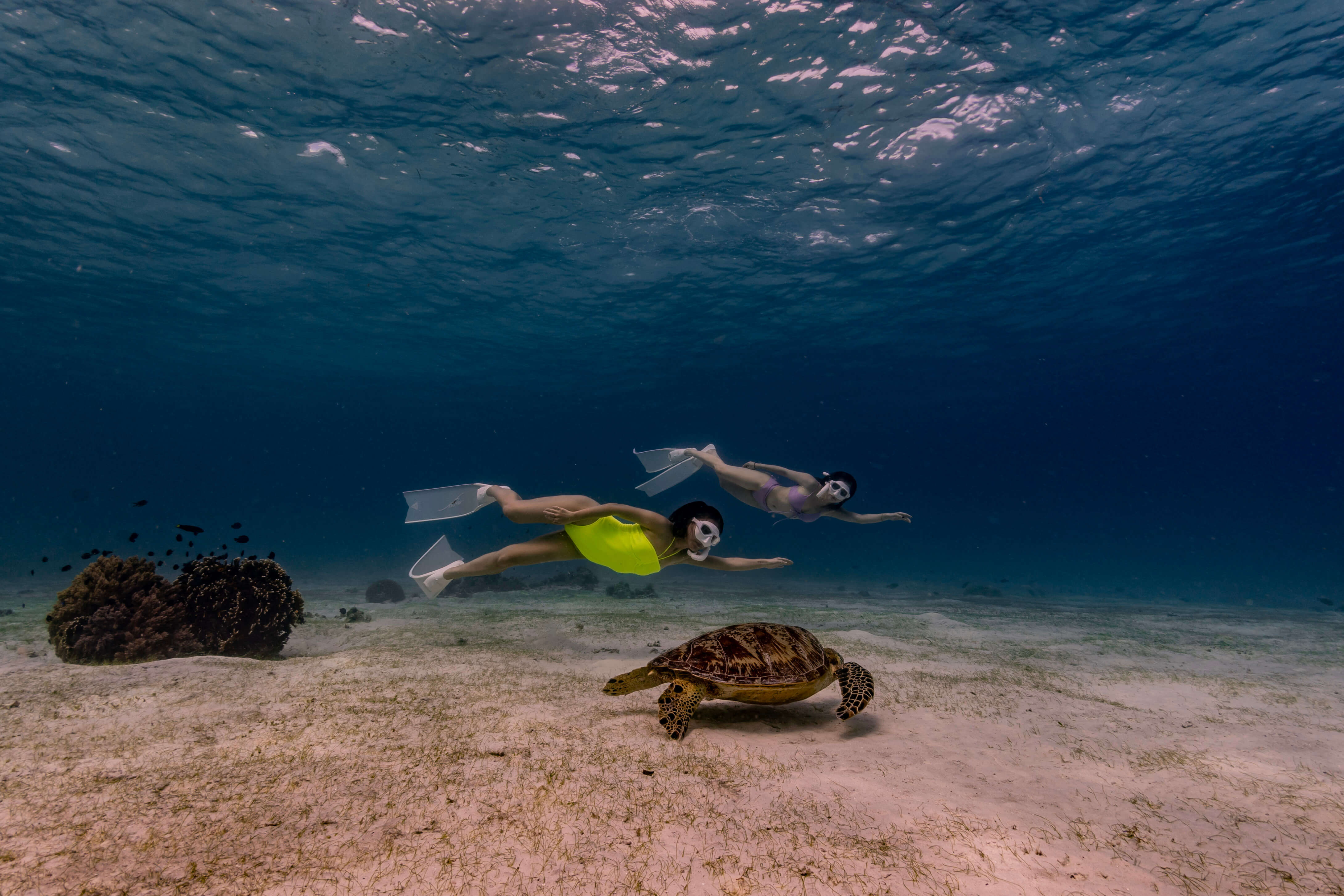 그랑블루 발리카삭