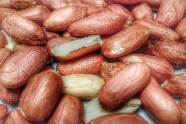 콜레스테롤낮추는음식