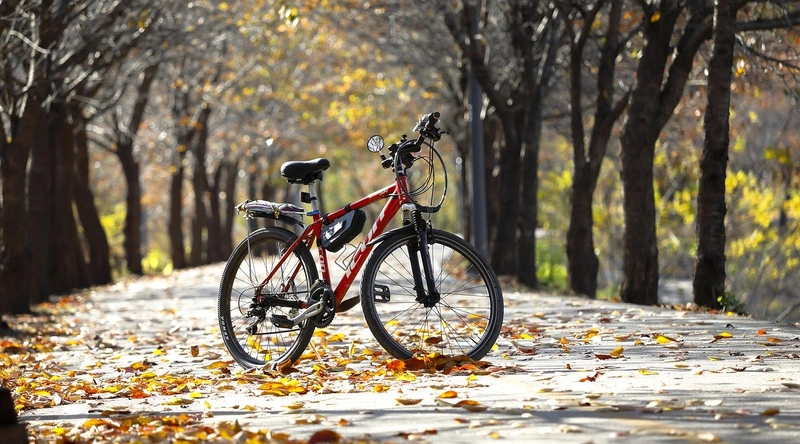 한국전력공사 가산점제도란?