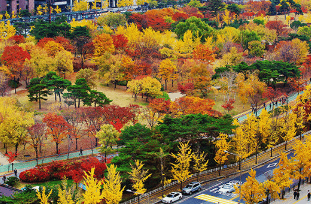 여의도한강공원