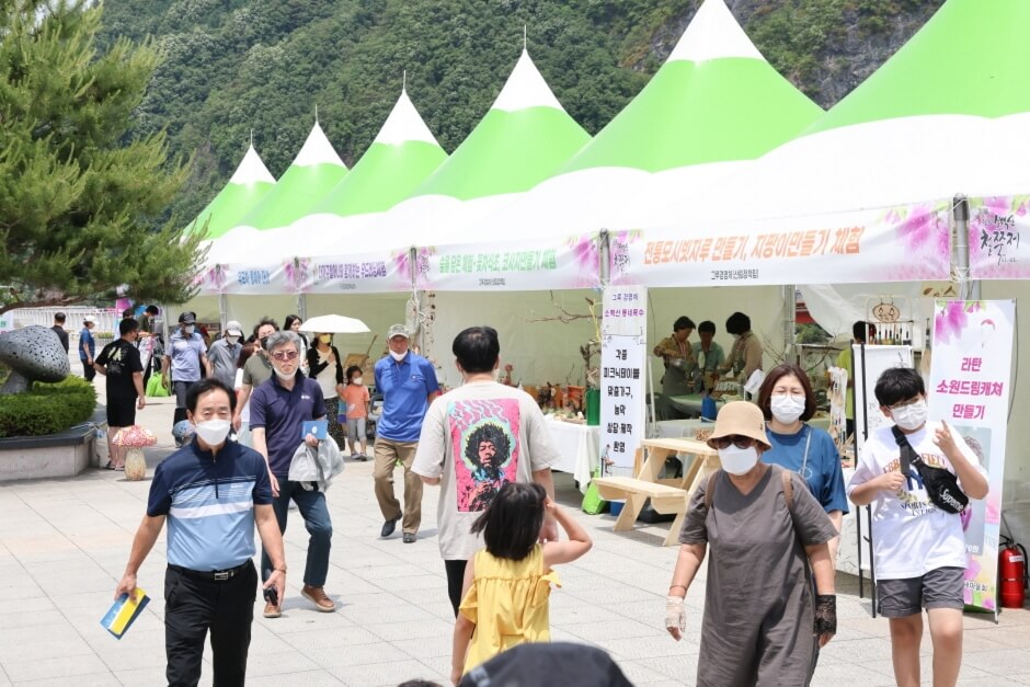 2025 단양 소백산 철쭉제: 봄의 절정을 만나는 시간