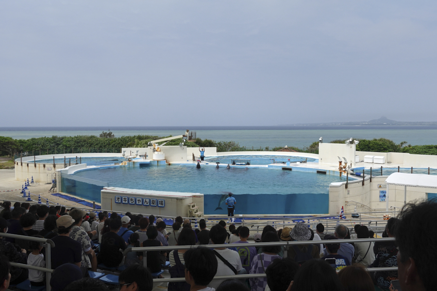 오키나와 츄라우미 수족관 돌고래쇼2