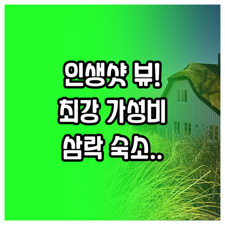 부산의 허파 삼락생태공원 버드나무 숲..