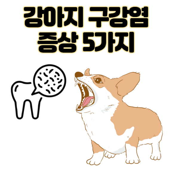 강아지 구강염 증상 5가지 및 놓치면 큰일나는 예방 팁
