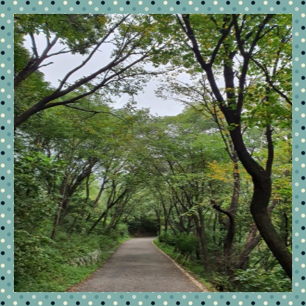 경기도차박추천캠핑장