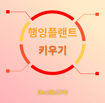 행잉플랜트 키우기