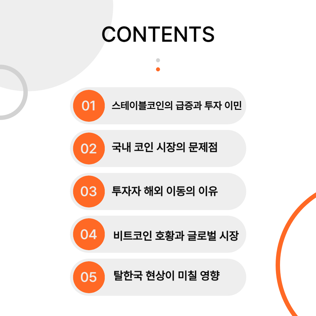 국내 코인 투자자