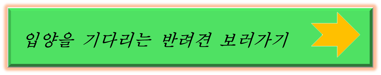 반려견 보러가기
