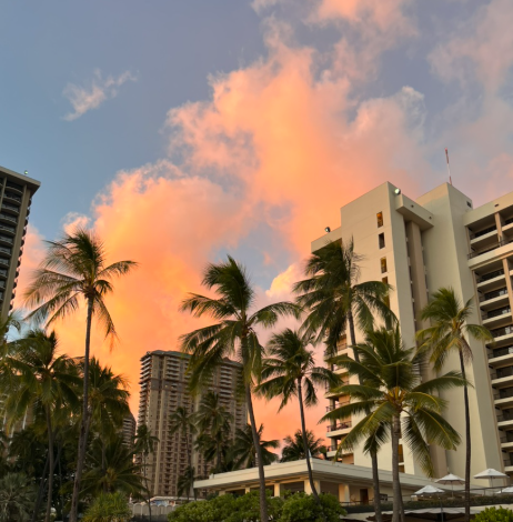 기후세금, 하와이, 몰디브, 발리