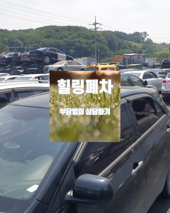 무안군 상속차폐차 공동상속인 범위 확인