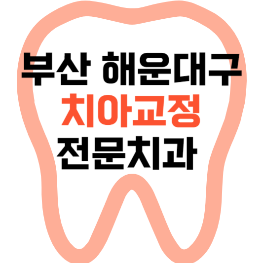 부산 해운대구 치아교정 치과 잘하는 곳 전문 치과 추천 가격 비용.png