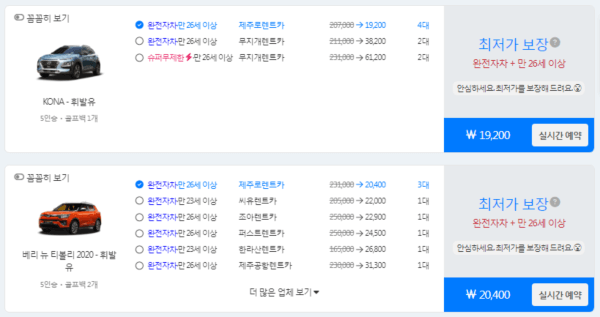 돌하루팡-렌트카-6