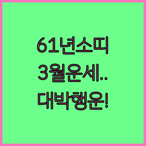 1961년생 소띠 2026년 3월 운..
