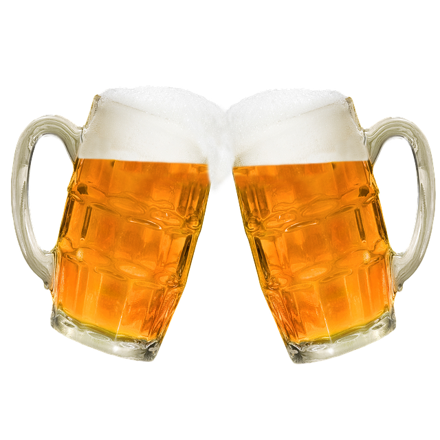 제6회 대한민국 맥주박람회