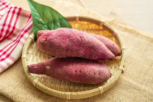 췌장암에 좋은 음식