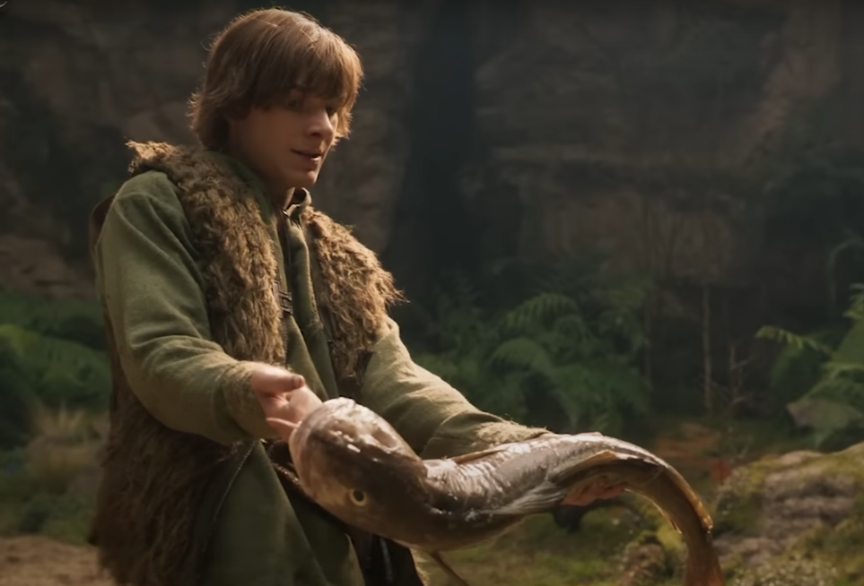 드레곤 길들이기 히컵