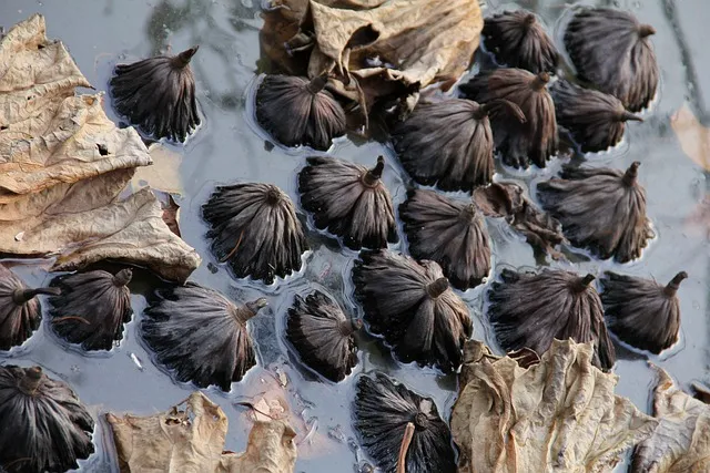 알뜰폰 요금제 비교 허브 가입방법_9