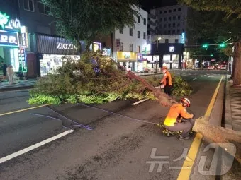 제주 강풍 경보 올레길 구간 선택 산책 속도 조절_4