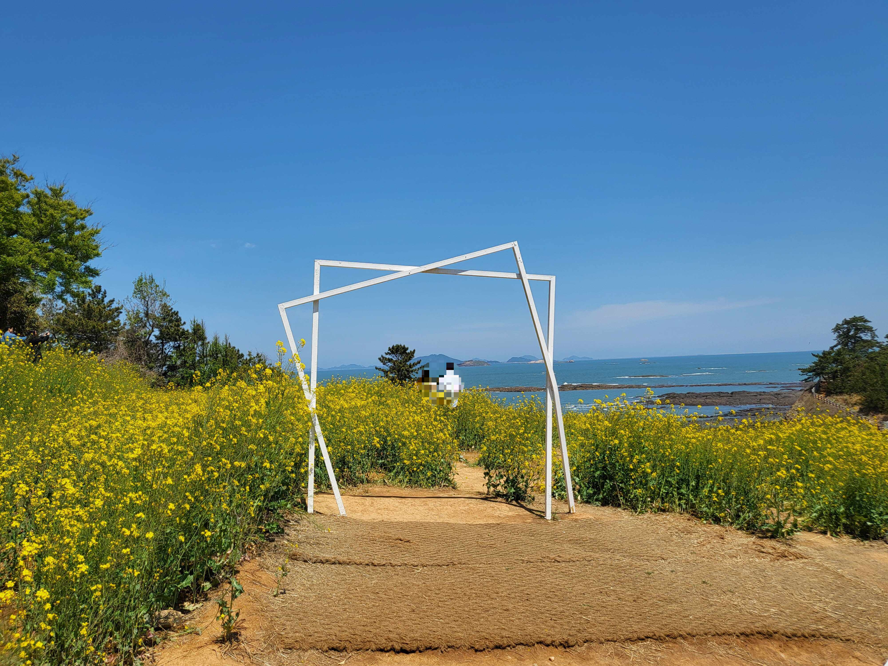 전라도 부안 여행 유채꽃 수성당