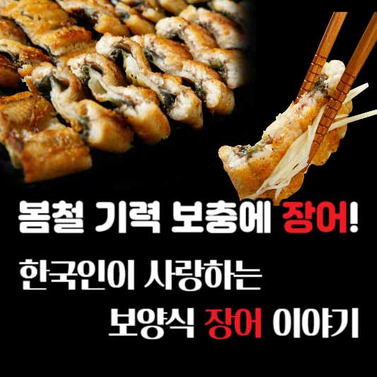봄철 기력 보충에 장어! 한국인이 사랑한는 보양식 장어 이야기