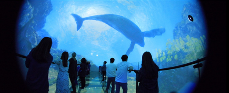 청풍호반 케이블카