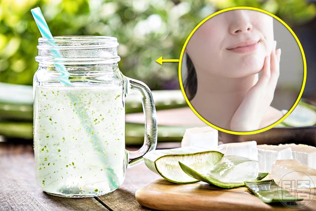 콜라겐 많은 음식 콜라겐 추천 식품 알로에베라