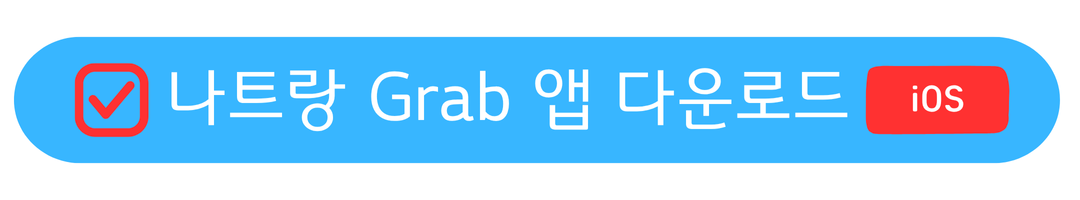 나트랑 그랩 이용법